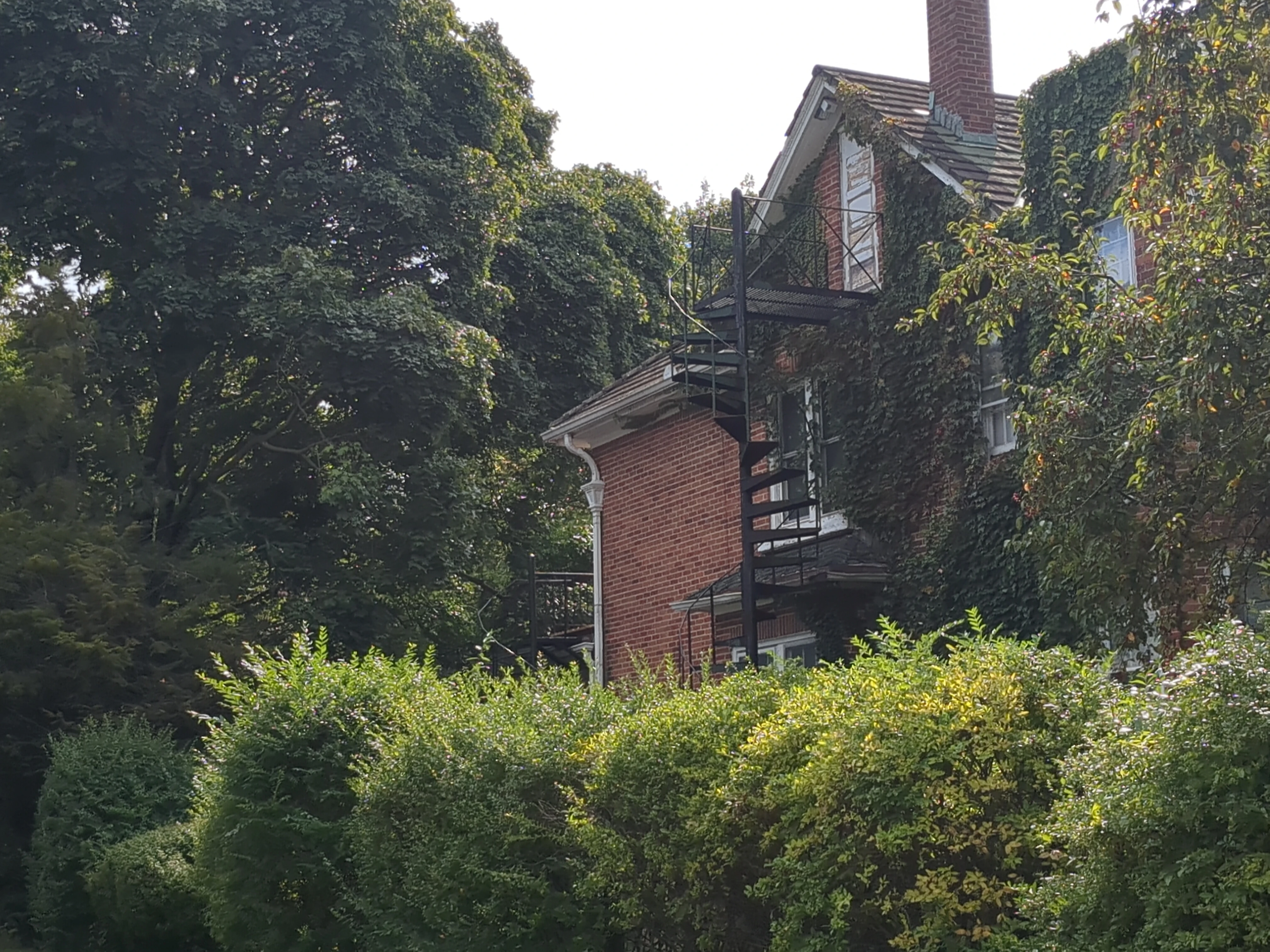 The side of a vine-covered house with a spiral staircase, obscured by vegetation.